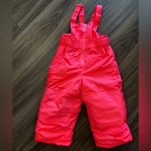 Toddler girl snow pants.